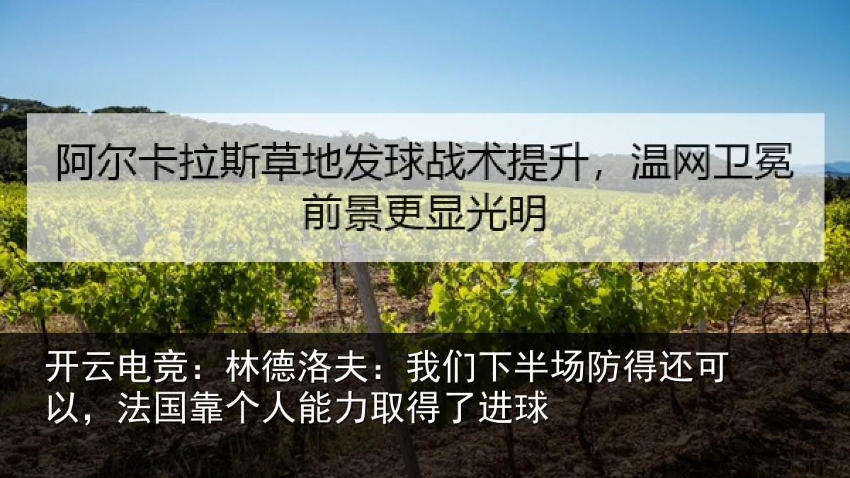 开云电竞：林德洛夫：我们下半场防得还可以，法国靠个人能力取得了进球