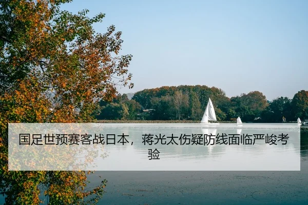 guo-zu-shi-yu-sai-ke-zhan-ri-ben-jiang-guang-tai-shang-yi-fang-xian-mian-lin-yan-jun-kao-yan-2-144.jpg