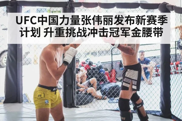 MMA fight cage